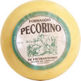 pecorino semistagionato