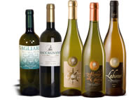 vini bianchi delle Marche