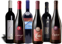 vini rossi delle Marche